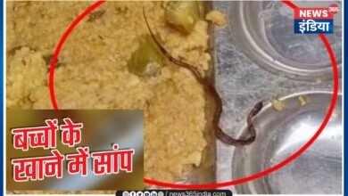 snake found in mid day meal