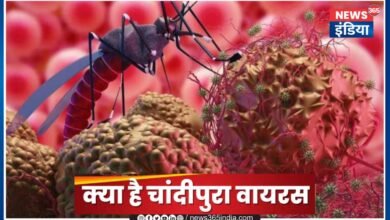 Chandipura Virus News