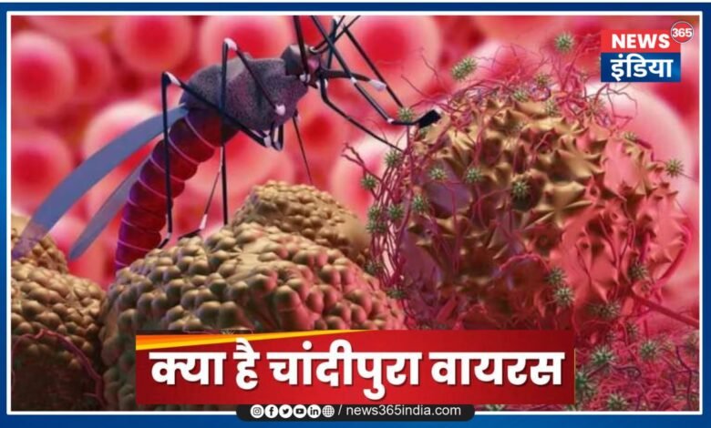 Chandipura Virus News