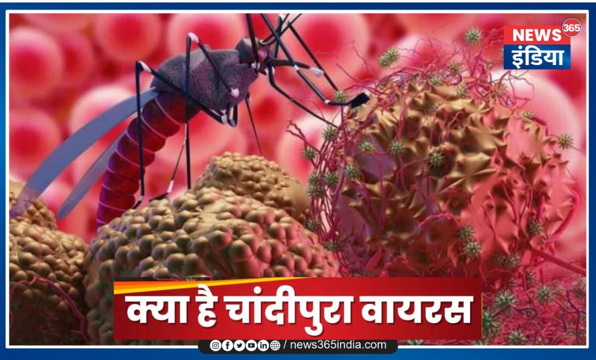 Chandipura Virus News