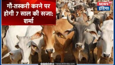 New Rule On Gau Taskari