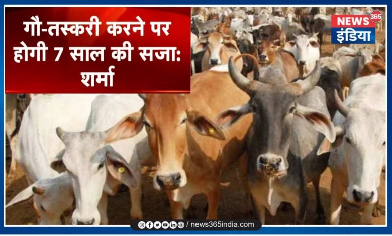 New Rule On Gau Taskari