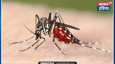 Two Died Of Malaria