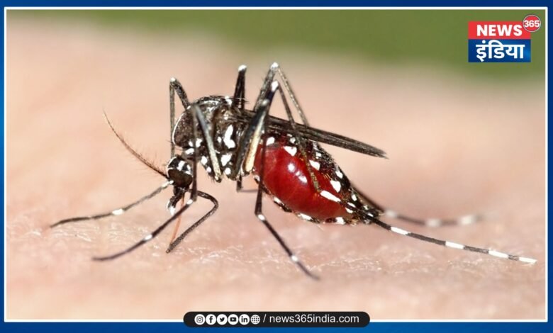 Two Died Of Malaria