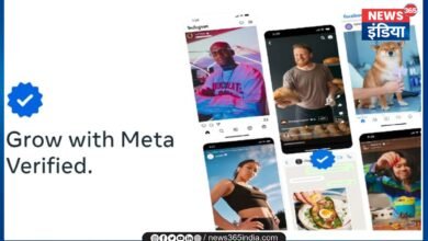 Meta Verified Plans