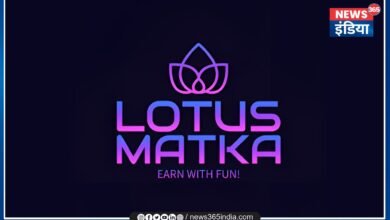 Lotus Satta App Case