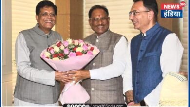 CM Vishnu Deo Sai Meet Piyush Goyal